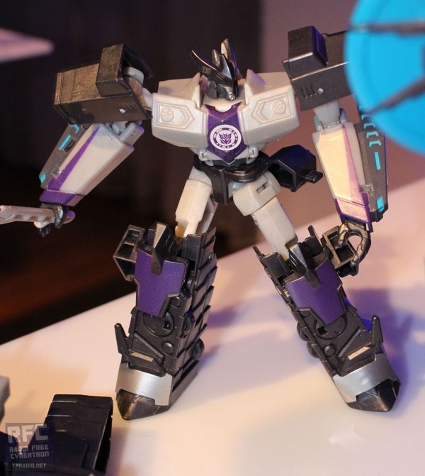 Megatronus 02 (35 of 62)